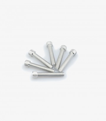 Puig 6 M8x45mm Allen Screws in Silver 0516P
