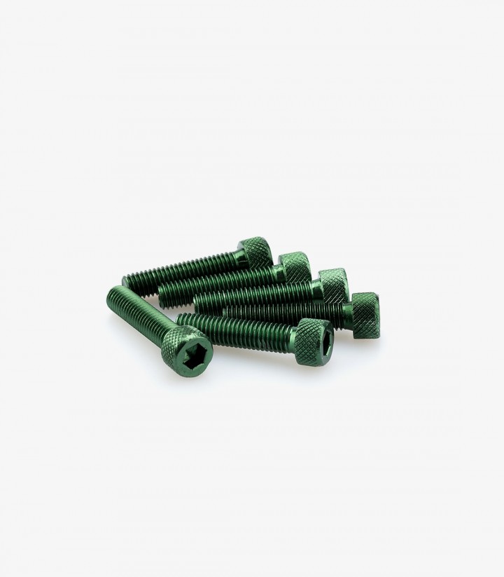 Blister 6 Tornillos Allen M8x35mm Verde Puig 0500V