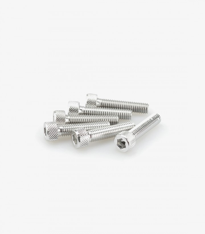 Blister 6 Tornillos Allen M8x35mm Plateado Puig 0500P