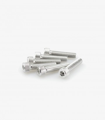 Blister 6 Tornillos Allen M8x35mm Plateado Puig 0500P