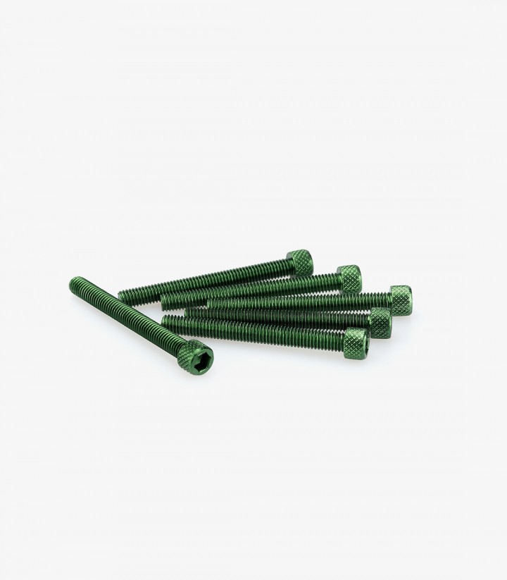 Blister 6 Tornillos Allen M6x55mm Verde Puig 0446V