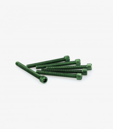 Blister 6 Tornillos Allen M6x55mm Verde Puig 0446V