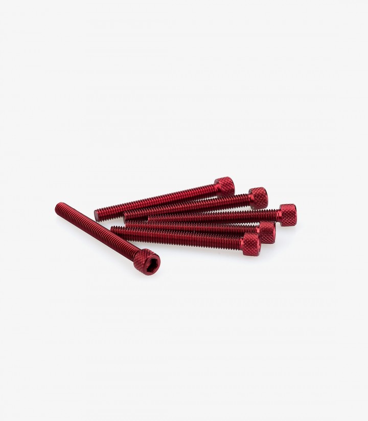 Blister 6 Tornillos Allen M6x55mm Rojo Puig 0446R