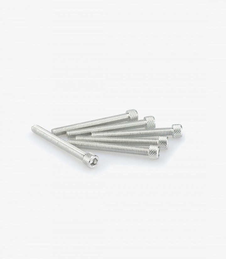 Blister 6 Tornillos Allen M6x55mm Plateado Puig 0446P