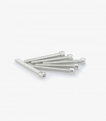 Blister mit 6 Inbusschrauben M6x55 mm in Silber Puig 0446P