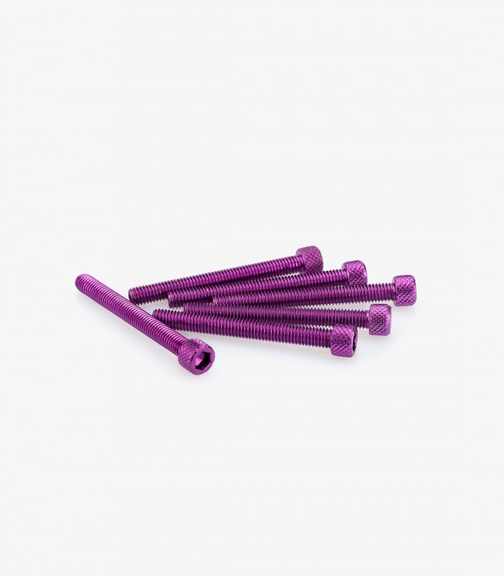 Blister mit 6 Inbusschrauben M6x55 mm in Lila Puig 0446L