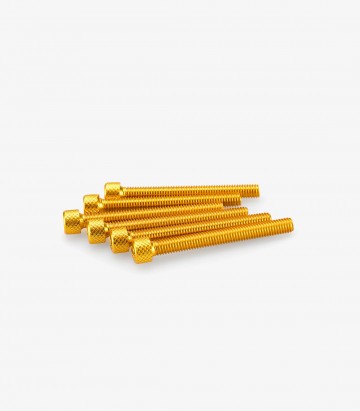 Blister 6 Tornillos Allen M6x55mm Amarillo Puig 0446G