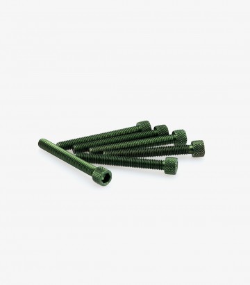 Blister 6 Tornillos Allen M6x50mm Verde Puig 0421V