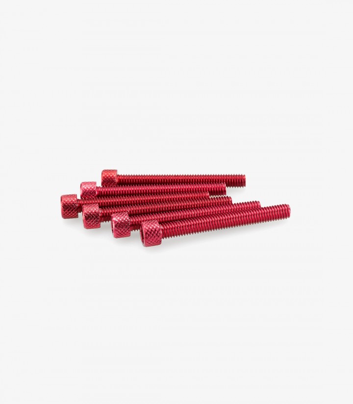 Blister 6 Tornillos Allen M6x50mm Rojo Puig 0421R