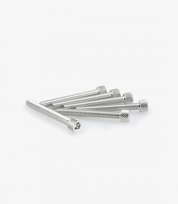 Blister 6 Tornillos Allen M6x50mm Plateado Puig 0421P