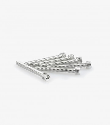 Blister mit 6 Inbusschrauben M6x50 mm in Silber Puig 0421P