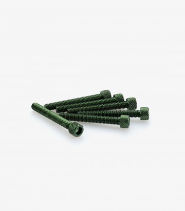 Blister 6 Tornillos Allen M6x45mm Verde Puig 0370V