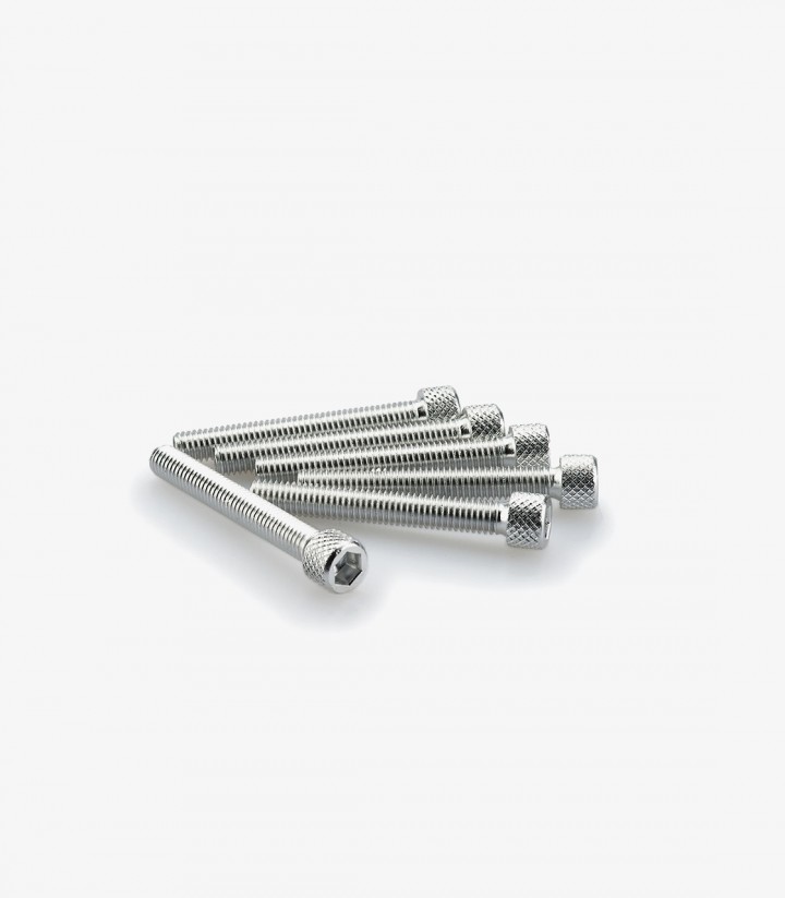 Blister 6 Tornillos Allen M6x45mm Plateado Puig 0370P