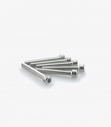 Puig 6 M6x45mm Allen Screws in Silver 0370P