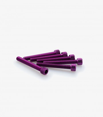 Blister mit 6 Inbusschrauben M6x45 mm in Lila Puig 0370L
