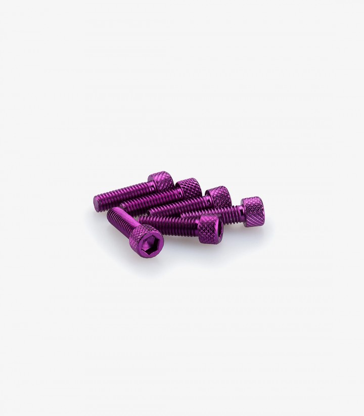 Blister mit 6 Inbusschrauben M6x20 mm in Lila Puig 0364L