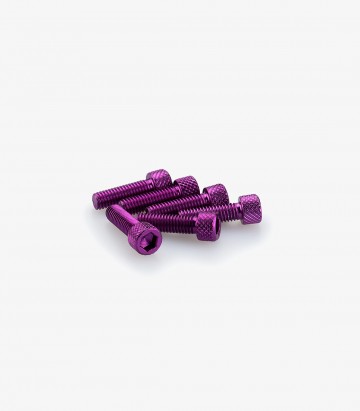 Blister mit 6 Inbusschrauben M6x20 mm in Lila Puig 0364L