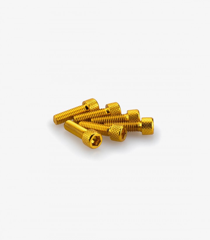 Blister mit 6 Inbusschrauben M6x20 mm in Gelb Puig 0364G