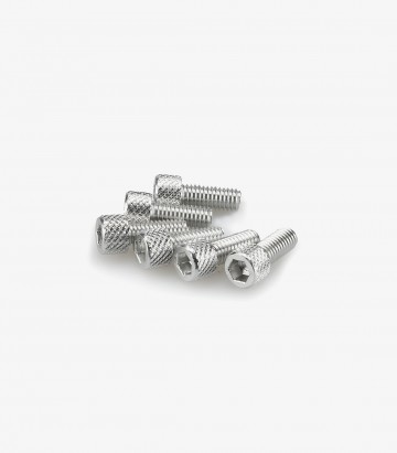 Puig 6 M6x15mm Allen Screws in Silver 0363P