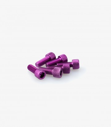 Blister mit 6 Inbusschrauben M6x15 mm in Lila Puig 0363L