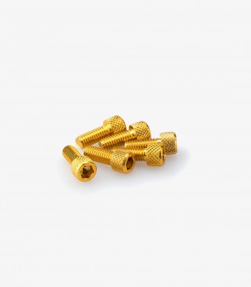 Blister 6 Tornillos Allen M6x15mm Amarillo Puig 0363G