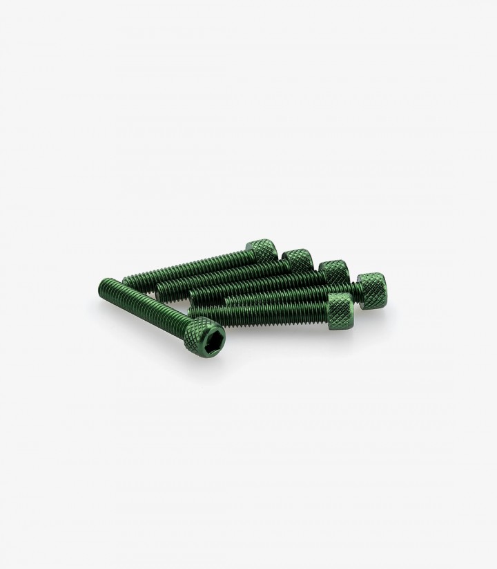 Blister 6 Tornillos Allen M6x35mm Verde Puig 0346V