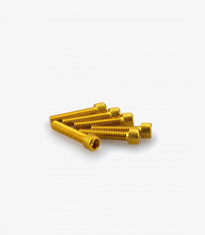 Blister 6 Tornillos Allen M6x30mm Amarillo Puig 0258G