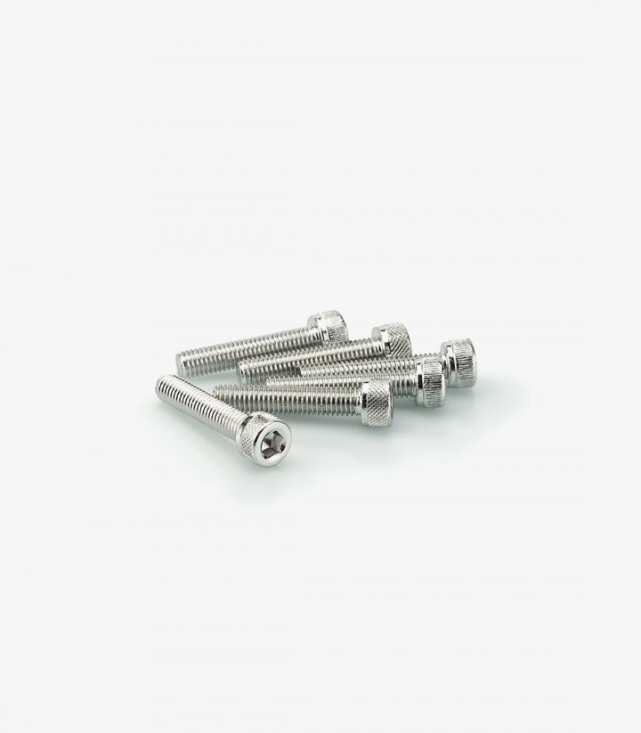 Blister 6 Tornillos Allen M5x25mm Plateado Puig 0185P