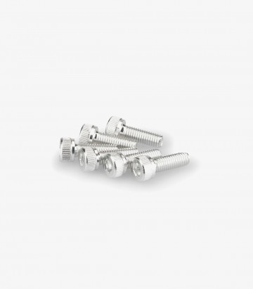 Puig 6 M5x15mm Allen Screws in Silver 0146P