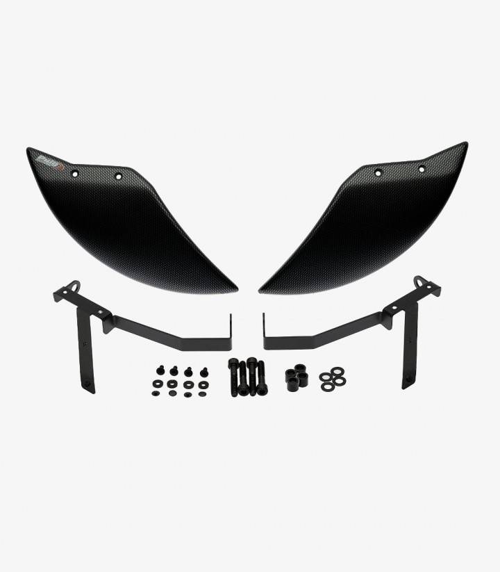 Aero-Windabweiser Rad Carbon-Optik BMW M1000R (25-26), S1000RR (25-26) Puig 22698C