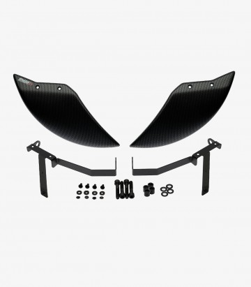 Puig Aero Wheel Deflector in Carbon Look for BMW M1000R / RR (25-26) 22698C