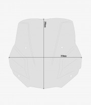 Cúpula Ahumada GIVI BMW F 900 R (20-26) 5139S+A5139A